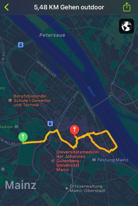 Caminata por Mainz